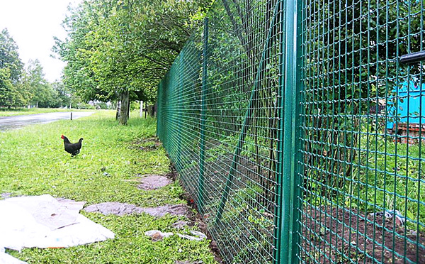 養殖護欄網 養殖護欄網